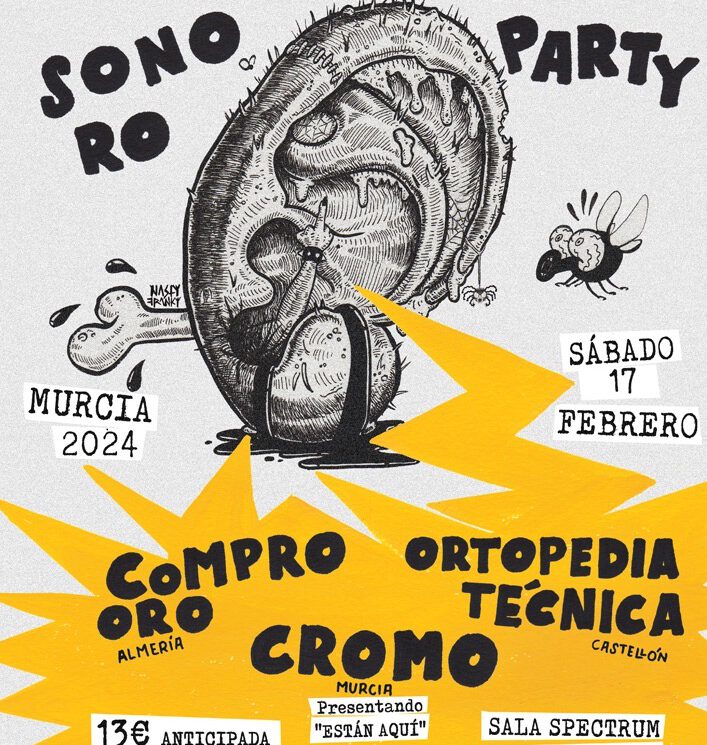 Desorden Sonoro Party en Murcia
